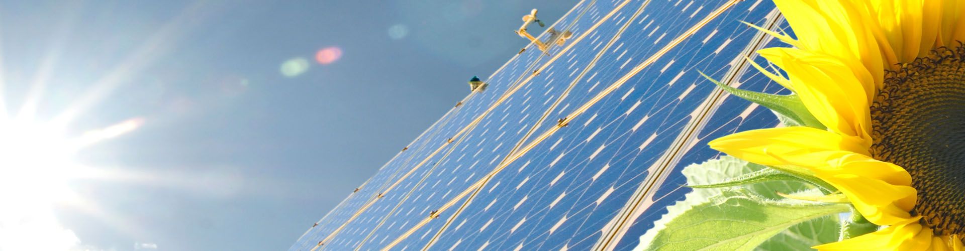 Environmentally Friendly Solar Panels Powering Wollongong